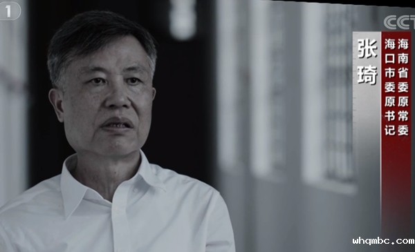 张琦，海南省委原常委、海口市委原书记。2020年3月，中央纪委国家监委宣布，海南省委原常委、海口市委原书记张琦严重违反党的多项纪律，构成严重职务违法并涉嫌受贿犯罪，予以开除党籍和公职处分，移送司法机关。