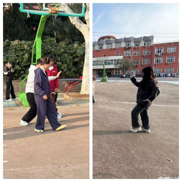 微信图片_20241125143242.jpg 微信图片_20241125143242.jpg