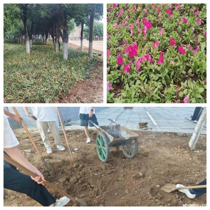 未命名_副本.jpg 未命名_副本.jpg