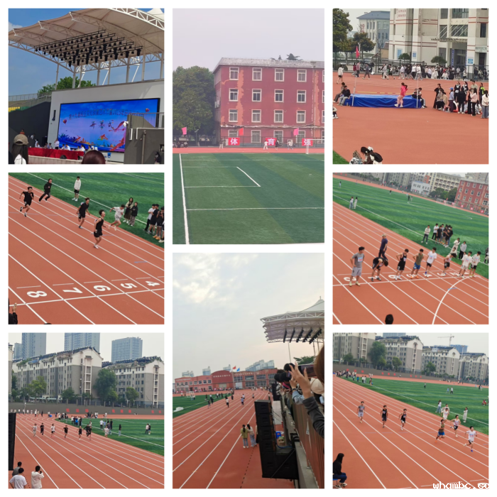 c0f277346933b612ec61d0611dfb417.png c0f277346933b612ec61d0611dfb417.png