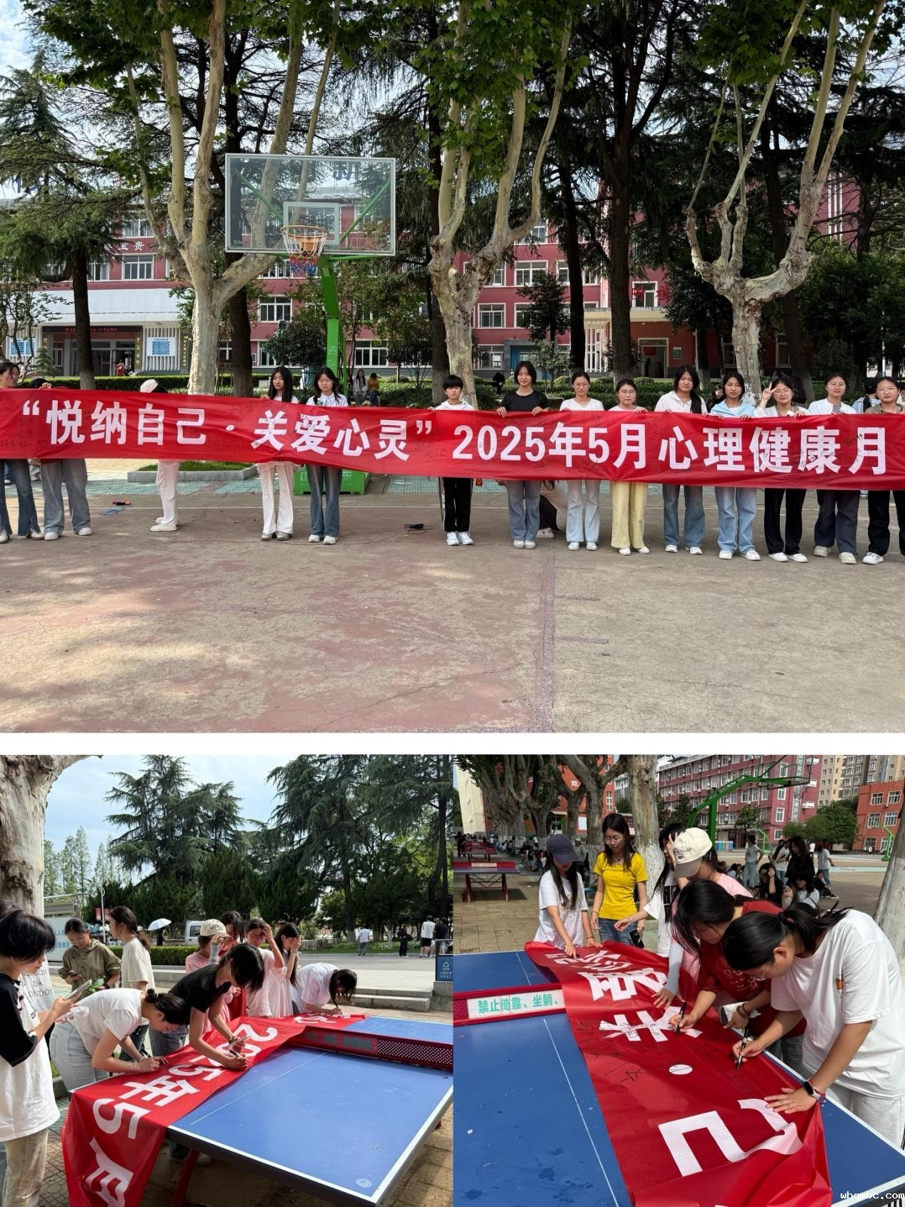 b0c526be0430f4fee3af67d3eb21910