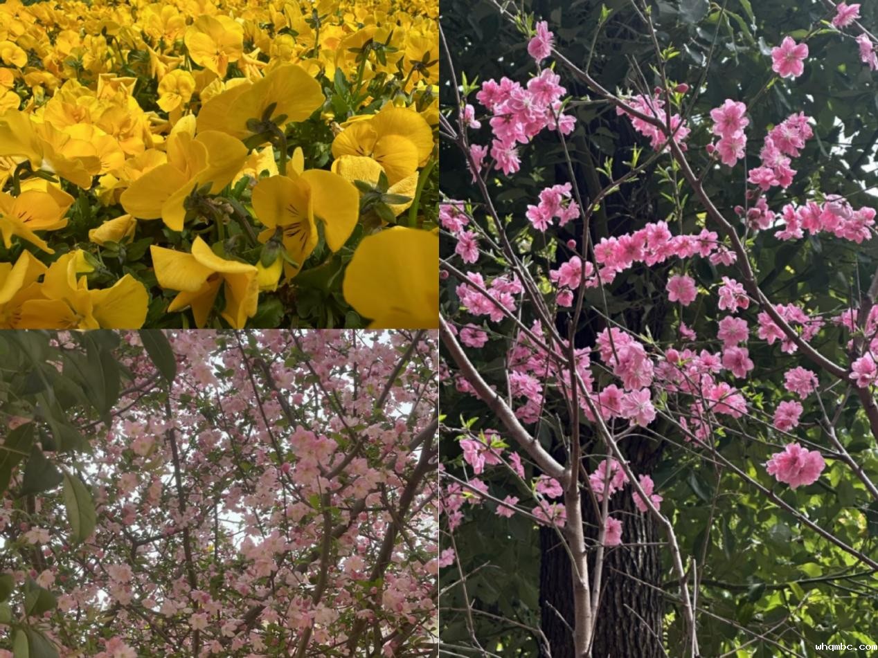 微信图片_20250324180706 微信图片_20250324180706